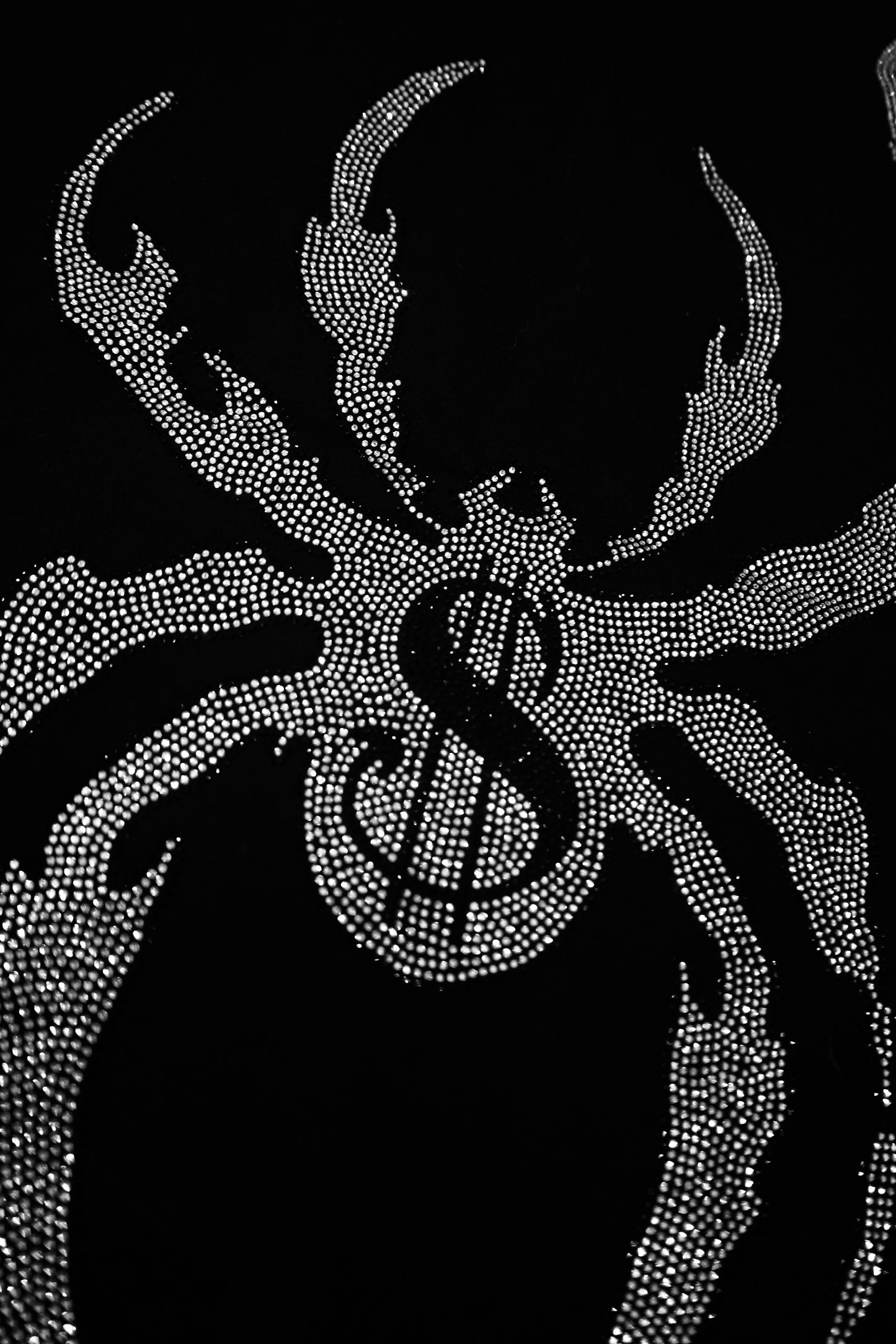 CRISTALS SPIDER 💎🕸️🕷️